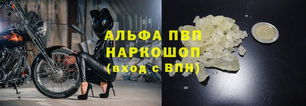 твердый Осинники