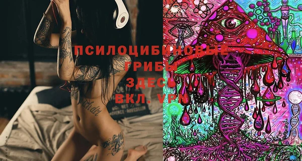 твердый Осинники