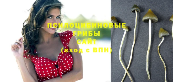 твердый Осинники