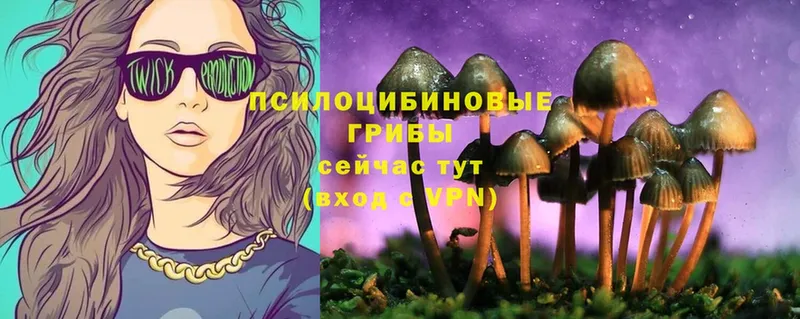 магазин продажи   blacksprut онион  Галлюциногенные грибы Psilocybe  Ступино 