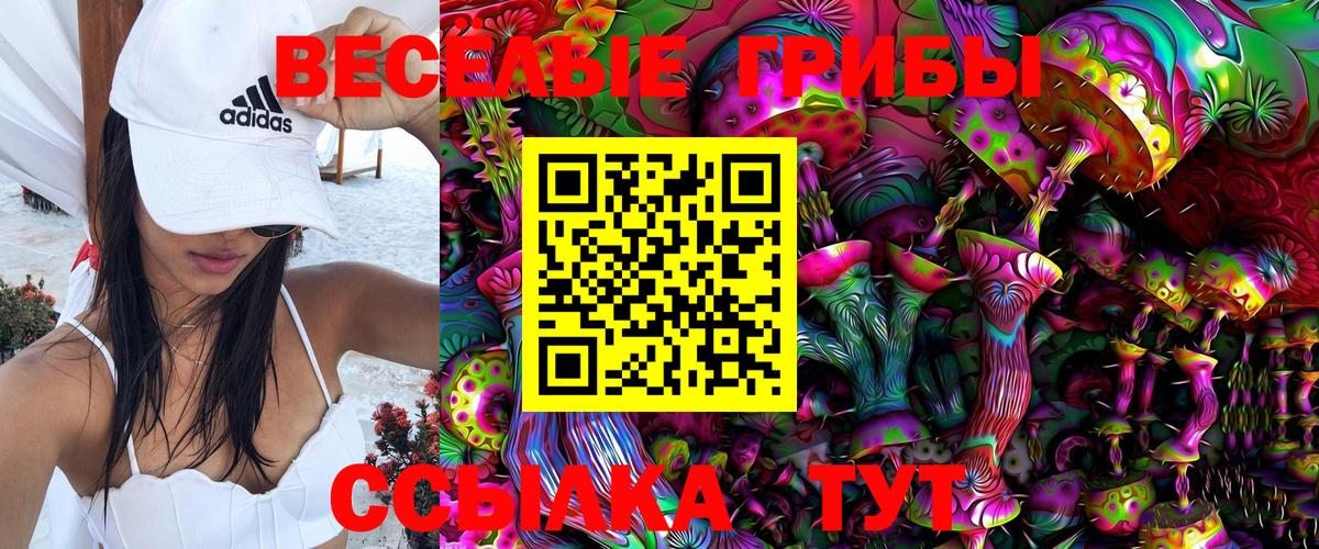 Галлюциногенные грибы Magic Shrooms Ступино